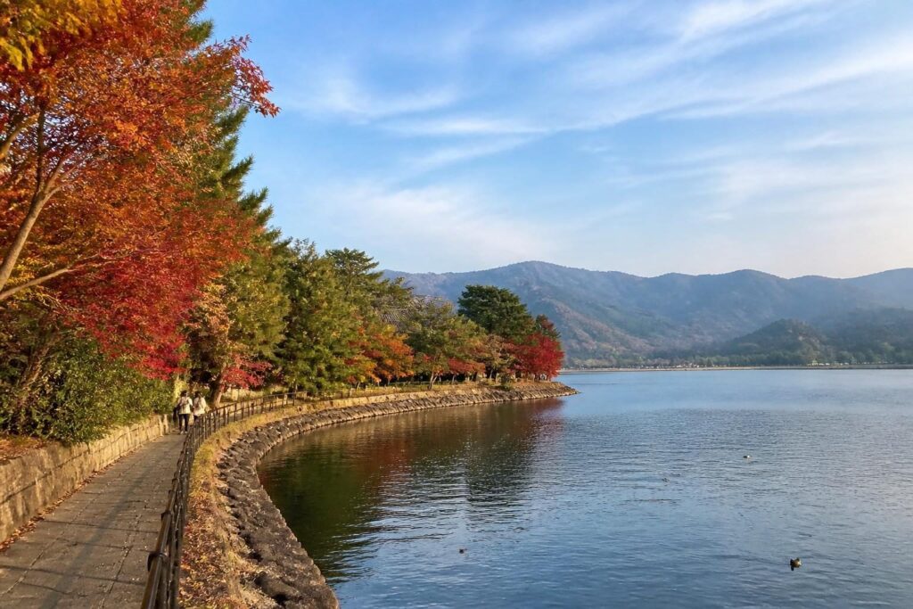 간사이 가을 여행 정보, 공식 사이트에서 일정과 운영 확인하는 법 관련 일본 여행 현장의 실사형 이미지