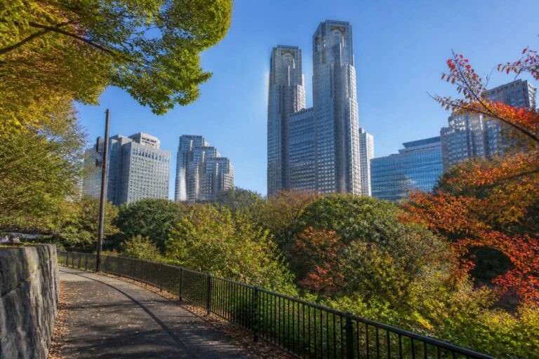 도쿄 여행 최신 정보 확인법: 계절 행사부터 섬 교통까지 관련 일본 여행 현장의 실사형 이미지